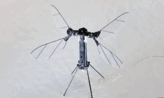 China unveils mosquito-sized drone to be used for spying & ‘special missions’ as they sneak into homes